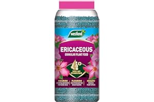 Westland Ericaceous Plant Food Granules Jar 900 g, Green