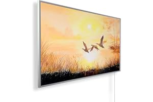 Könighaus Fern Infrared Heater with TÜV/GS / 200 + Images / 1000 Watt / Patented