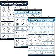 Palace Learning QuickFit 3 Pack - Dumbbell Workouts + Bodyweight Exercises + Stretching Routine Poster Set - Set of 3 Workout Charts (Laminated WITH PLASTIC FRAME, 18" x 24")