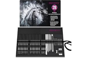 HIFORNY Set di 28 matite da disegno per schizzi, forniture artistiche con grafite, carbone, strumenti di miscelazione, accessori, kit da disegno per artisti adulti in custodia arrotolabile in tela