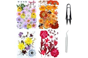 Cayway 4 sztuki suszonych kwiatów do żywicy, naturalne prasowane suszone kwiaty, suszone kwiaty naturalne prasowane kwiaty do świec DIY biżuteria żywica udział, styl A