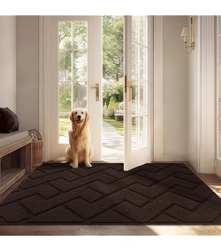 Biscpro Deurmatten Binnen Duiten Schoonloopmat Vuilschraper,Antislip, Machinewasbaar,Waterabsorberend, Entree Deurmat Voor Voordeur, Gang, Entree