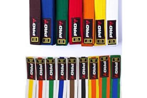 ‎PRO4 Pro4 Budo Gürtel 1 oder 2 farbig für Kampfsport Karate TKD Kickboxen Judo Jiu Jitsu 220 240 260 280 300 oder 320cm