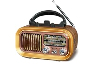 FANTOCEMEA Retro Radio Klein mit Bluetooth,Tragbares AM/FM/SW Radio,Hervorragender Empfang,Nostalgie Radio Unterstützt USB/TF-Karte Funktion,1200mAh Akku oder D-Zellen Batterien