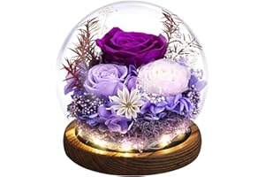 Emibele Regalo de Rosa Eterna para el Día de la Madre, Rosa Real Preservada en Domo de Vidrio con Luz LED, Flores para Entrega, Regalo para Mujer, Esposa, Cumpleaños, Aniversario, Morado