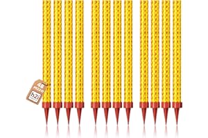 h2i 48 Pezzi 90 Sec XS, Stelle di Ghiaccio, Fontana di Ghiaccio, Candela Spray per Fidanzamento, Matrimonio, Compleanno, Festa, Decorazione di Torta Bottiglia + Il Accendino Gatto F1