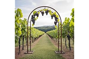 Tuinboog Trellis Bruiloftsbogen Prieel Voor Klimplanten Wijnrankgroenten140 180 200 220 240cm Binnen Buiten Metalen Boog Pe