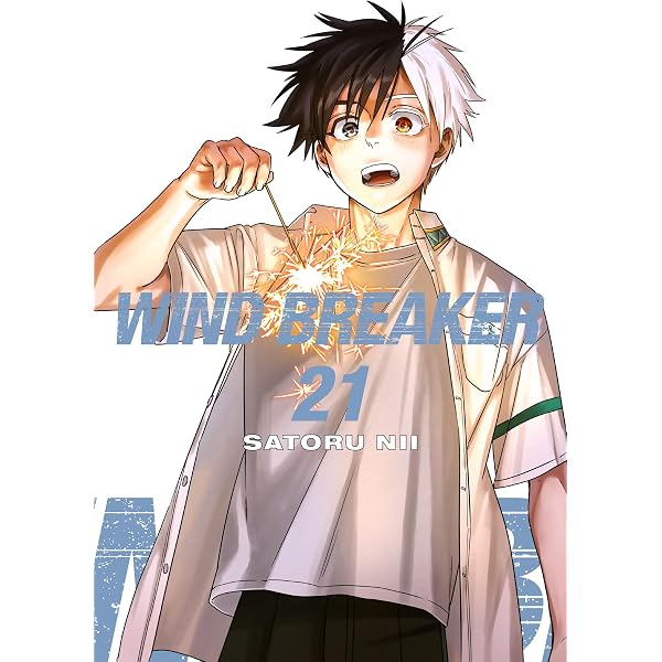 WIND BREAKER 20 eBook : Nii, Satoru, Nii, Satoru: Amazon.co.uk