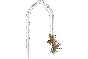 Relaxdays Arche à rosiers Support de plantes grimpantes H x l x P 255 x 137 x 39 cm, jardin et terrasse, noir
