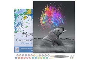 Figured'Art Pintar por Numeros Adultos con marco Colores Como El Gris - Manualidades pintura acrilica Kit Cuadro DIY completo - 40x50cm con bastidor montado