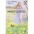 The Wonderful World of Ladybird Books for Grown-Ups eBook by Jason Hazeley - EPUB | Rakuten Malaysia
