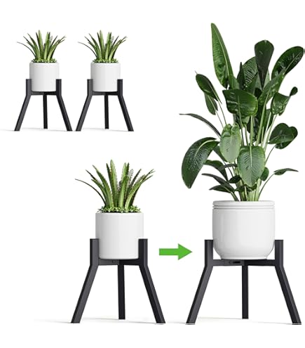 Madam Stoltz Blumentopfstnder aus Eisen, Hhe 18 cm, Schwarz: Amazon.de:  Garten