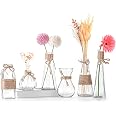 Winter Shore Lot De 6 Vases En Verre Transparent 20,5 Cm - Décoration Table Et Mariage Élégante