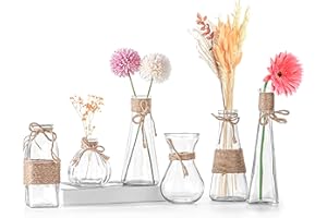 Winter Shore Mini Vase en Verre pour Centres de Table [Lot de 6] - Vase Verre Transparent Vintage avec Base Anti-Dérapante & Ficelle Marron - Décoration d'Intérieur Bohème & Mariage