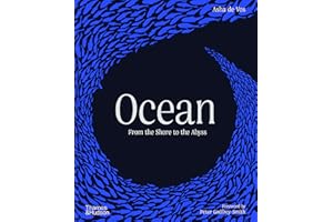 Ocean : From the Shore to the Abyss /anglais