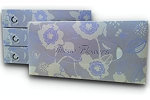 N/D Fazzolettini Veline Cosmetiche Salviette Per Cosmesi Con Scatola Dispenser Fazzoletti Facciali 2 Veli (12 Confezioni x 100 Fazzoletti)