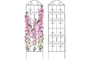 Thealyn Ensemble de 2 Treillis de Jardin de 203 cm de Hauteur sur 56 cm de Largeur, en métal Robuste. Convient pour Soutenir Les Plantes grimpantes telles Que Les Roses, Les légumes, Les vignes