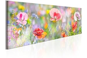 B&D XXL murando Impression sur toile intissee tableau 1 parties tableaux decoration murale photo image artistique photographie graphique nautique Coquelicot