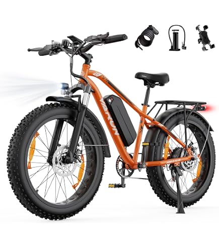 HAOQI Eagle Electric Bicycle for Adults, 250 W Brushless Motor Mountain Bike with 48 V 20 Ah Removable Battery, 26 Inch x 4.0 Fat Tyre Ebike, Electric Bicycle with 7 Gears up
