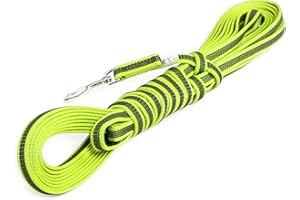 JULIUS K-9 Julius-K9 218GM-NE-S10 Laisse antidérapante Color & Gray avec poignée, 14 mm x 10 m, Néon-Gris