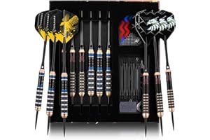 TURNART Juego de dardos de punta de metal, dardos profesionales, barriles de latón, punta de acero, 6 piezas de 22/24 gramos, 12 ejes de aluminio 35/48 con elegante estuche