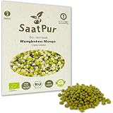 SaatPur BIO Basilikum Rot Keimsaat – 10g, Für Sprossen & Microgreens, Aus Deutschland