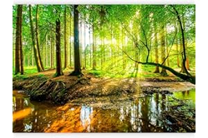 murando - Carta da parati 350x256 cm Fotomurali in TNT Murale alla moda Decorazione da Muro XXL Poster Gigante Design Carta per Pareti Soggiorno Bosco Foresta Natura Albero Verde c-B-0241-a-a