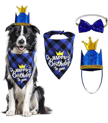 Hunde-Geburtstags-Outfit: Halstuch & Hut Mit Zahlen Für Partys Bis 50,8 Cm Halsumfang