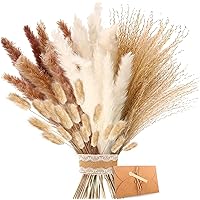 ZJTAPE Pampas Secas Decoracion - Hierba Natural de Pampas Secas, Marrón、Hierba de Pampa Blanca Frondas Esponjosas, Ramo de Fl