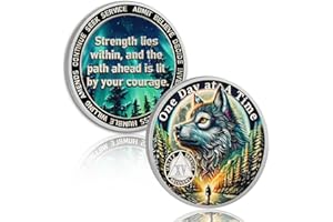 ATSKNSK Brave Wolf 15 Year Sobriety Coin - One Day at a Time AA Coin, Alcohol Free Recovery Chip with Token Capsule, Inspirational Sobriety Gifts for Men & Women