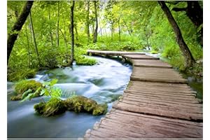 Runa Art Carta da parati fotografica ponte cascata 352 x 250 cm Vello Sfondo Murale XXL Moderne Decorazione Soggiorno Camera De Letto Sala Ufficio verde Beige 9035011a