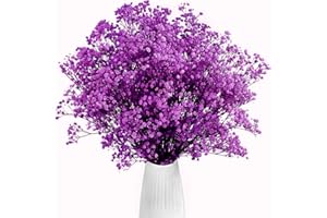 Gipizi Viola Gypsophila Essiccata, 43cm Naturale Fiori Secchi stabilizzata Oltre 3000 Boccioli, Gypsophila Secchi per Matrimonio, Decorazione della Casa, Fai da Te e Partito
