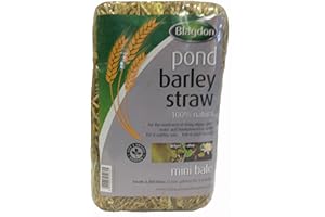Blagdon 1054645 Paja de Cebada de Estanque Mini Bale