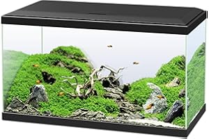 Ciano, Aquarium 60 Noir, pour Poissons, Équipé d'un Filtre, Consommables, LED et Chauffage, 58L, Emballage Renforcé pour Envoi Web