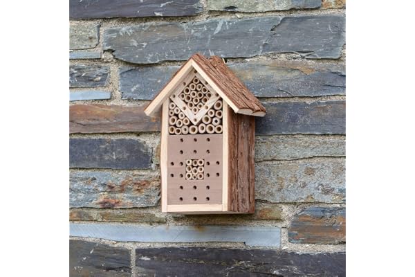 CKB LTD Hôtel Insecte en Bois Naturel pour Abeilles Coccinelle Papillon et Autres Insectes Volants abri Jardin nid Jardin Habitat extérieur Maison extérieur Maison Habitat - Petite Taille 16x9x23cm