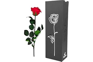 Moos Zeit KUNST DER NATUR Rote Infinity Rose mit Stiel, echte konservierte Rose in Premium Geschenkbox - ewige Blume mit Rosenduft Haltbar bis zu 3 Jahre