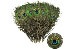 THARAHT 12pcs Peacock Feather Naturale in Massa 10-12 Pollici 25-30cm per Craft Vase Wedding Home Party Christmas Day Decorazione Piume di Pavone