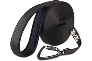 HUND IST KÖNIG Correa de Arrastre de 5 m para Perros con mosquetón de Seguridad, Correa de 5 m con Correa de Mano, Incluye Bolsa