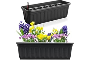 ‎HAUSFELDER Hausfelder Flower Box Set of 2 with Water Reservoir and Water Level Indicator, Planter and Balcony Box with Watering System for Indoor and Outdoor Use (Anthracite-Black, 60 cm Long, Set of 2)