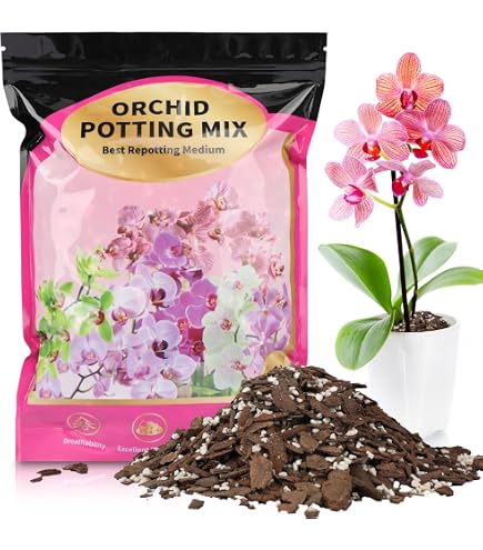 15 Stück Transparente Anzuchttöpfe – 9/10/13 Cm – Kunststoff-Pflanztöpfe Mit Drainage – Für Orchideen, Kaktus & Sukkulenten – Set In 3 Größen