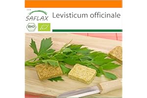 SAFLAX - Jardin dans le sac - BIO - Livèche - 100 graines - Avec substrat de culture dans un sac de levage facile à manipuler. - Levisticum officinale
