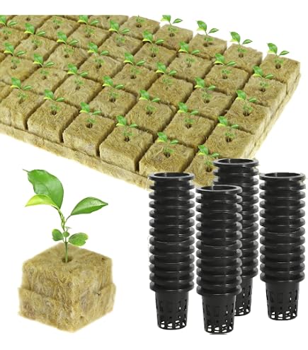 PETSTIBLE Hydrocultuur Groeiblokjes – 50 Stuks 25x25x40mm, Geschikt Voor Stekken En Zaden