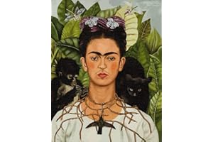 Artnapi Peinture par numéros pour adultes avec cadre | DIY peint à la main | Frida Kahlo Autoportrait | Kit pour débutants et adultes | Kit avec peintures acryliques et pinceaux | Toile 40 x 50 cm |