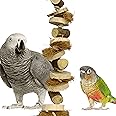 Congo® 24" Long Chew-Safe Hanging Bird Toy | for Chewing & Playing | for Cockatiels, Conure, Senegal, Amazon, African Grey and Other Birds Piece of 1
