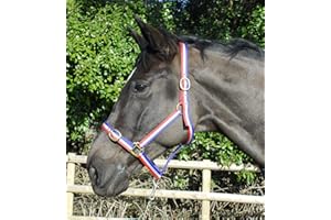 Rhinegold Nylon Headcollar - Shetland - Red/White/Blue