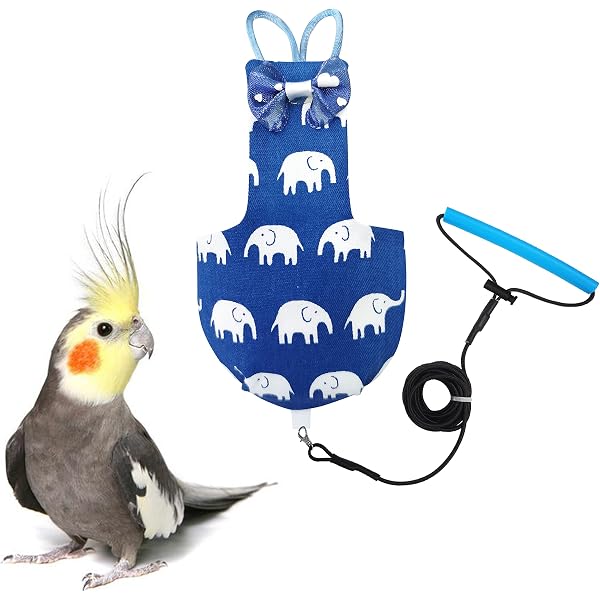Flight Suit Bird Diaper FRCOLOR Diapers Parrot Flight Suit One piece flight-suit-bird-diaper-frcolor-diapers-parrot-flight-suit-one-piece