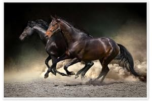 Mustang gallop Poster | 100 x 70 cm av Animal Portrait Photography Tavlor Väggdekoration