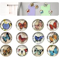 Calamite Frigo Decorative - 21 Pezzi Magneti Silicone Per Casa E Ufficio
