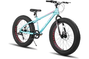 HH HILAND HILAND 24/26 Inch Fat Tire Mountain Bike, 7 Speed Mountain Bike for Boys and Girls, Double Disc Brake, Beach And Snow Bike for Youth Men Women