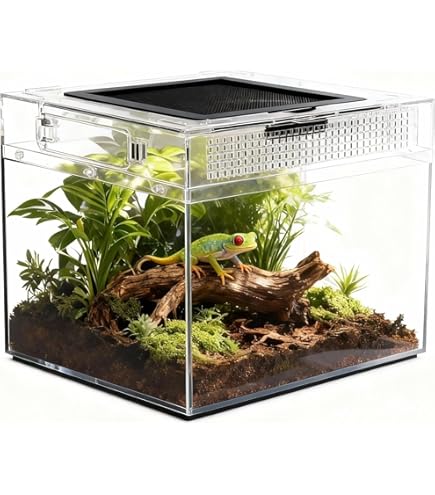 Vind terrarium slakken in Reptielen en Amfibieën op